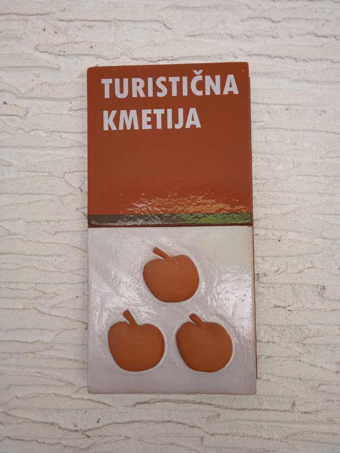 Turisticna Kmetija Birsa Villa Dobravlje Kültér fotó